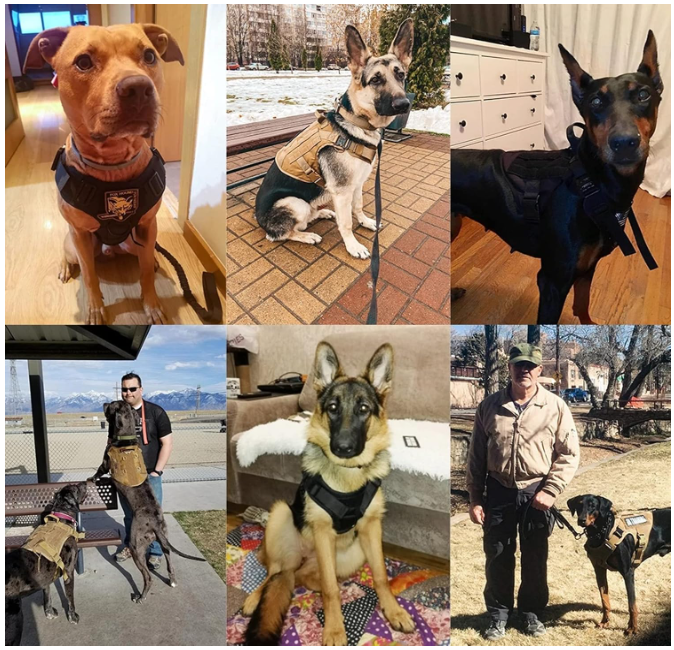 Tactical Dog Harness Set for All Breeds